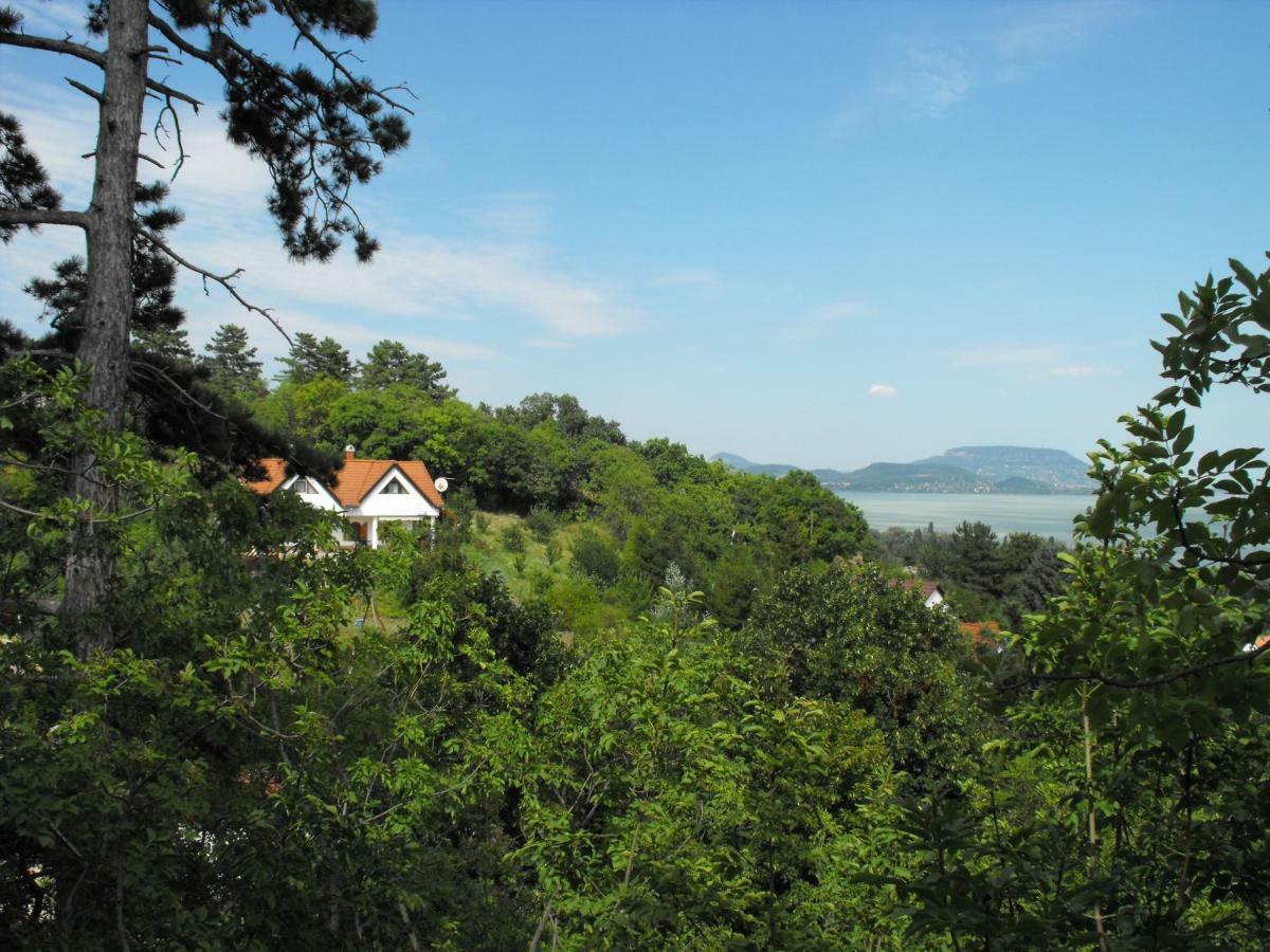 Hotel Ezuesthid Apartman à Balatongyörök Extérieur photo